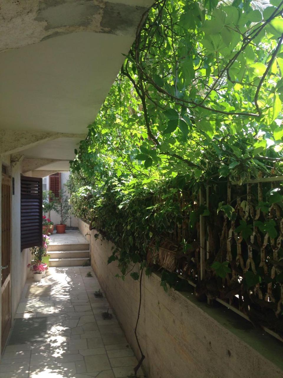 Apartmán Happy Dubrovnik Centre-Free Parking Exteriér fotografie